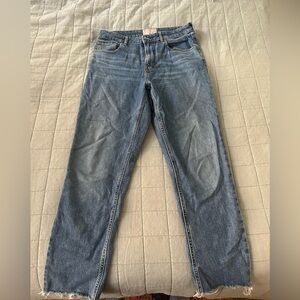 Everlane Blue Straight Jeans Classic Style